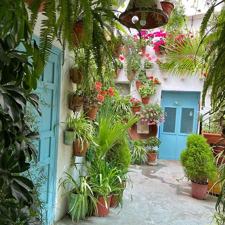 Apartamento La Muralla Vejer de la Frontera Zewnętrze zdjęcie