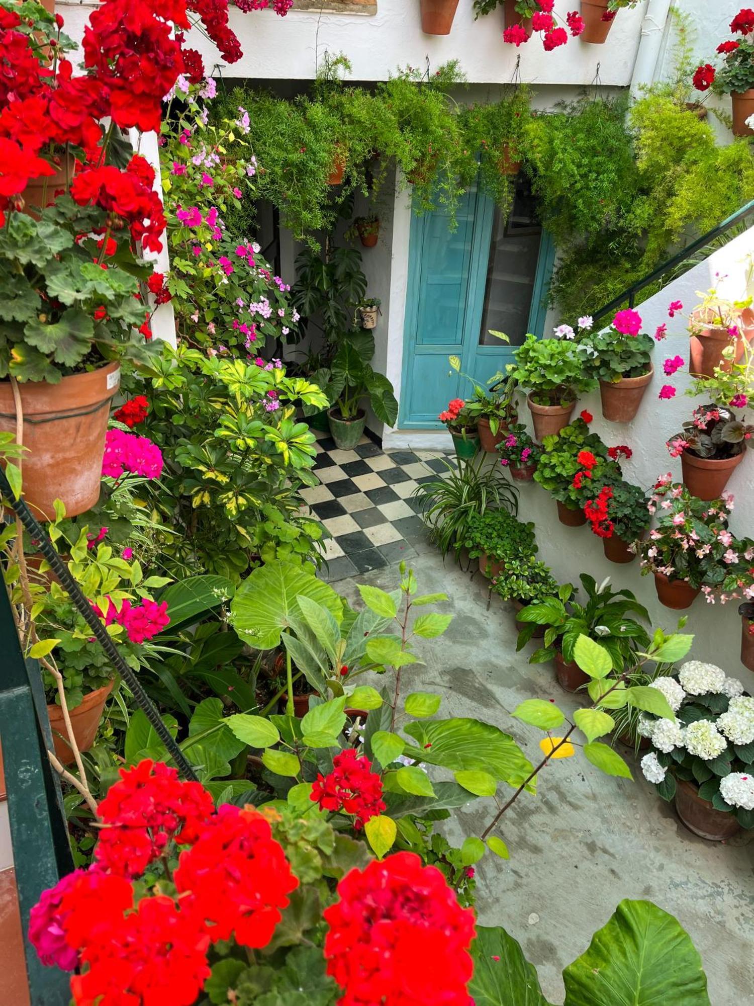 Apartamento La Muralla Vejer de la Frontera Zewnętrze zdjęcie