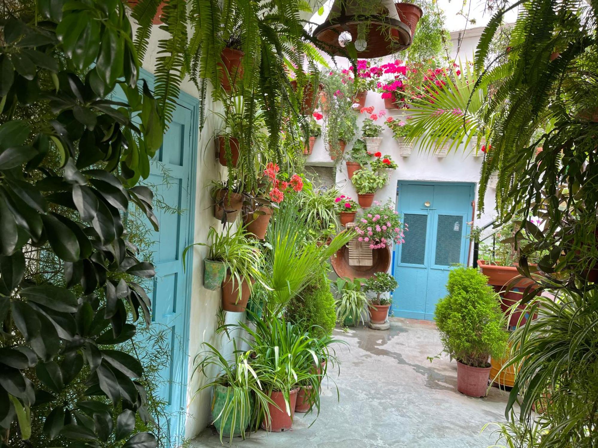 Apartamento La Muralla Vejer de la Frontera Zewnętrze zdjęcie